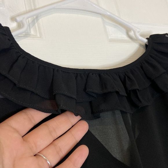 Forever 21 Sheer Chiffon Sleeved Blouse with Tie - Picture 7 of 7